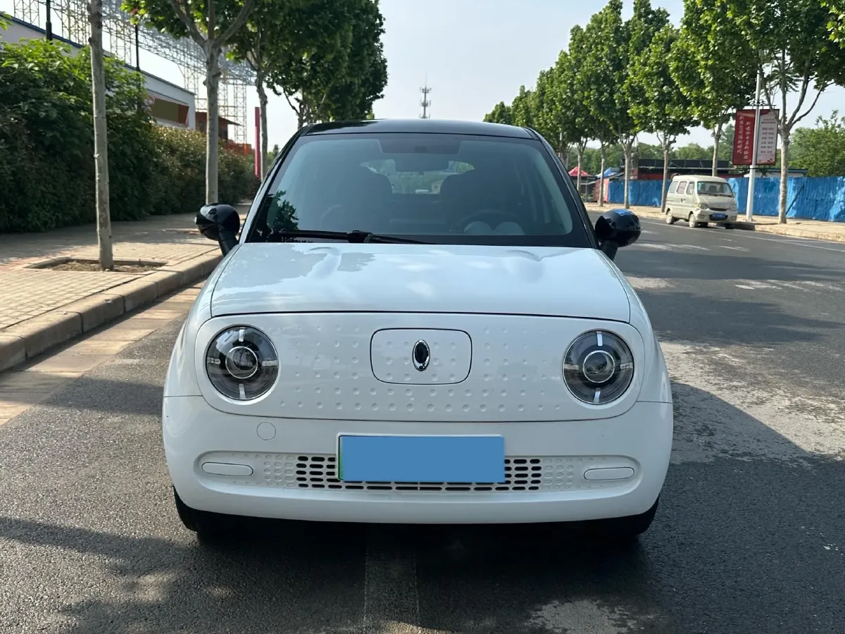 2019 Ora BlackCat BEV 28.5KWH,autocango,china used car exporter,china ev exporter,chinese used car exporter,chinese used ev exporter