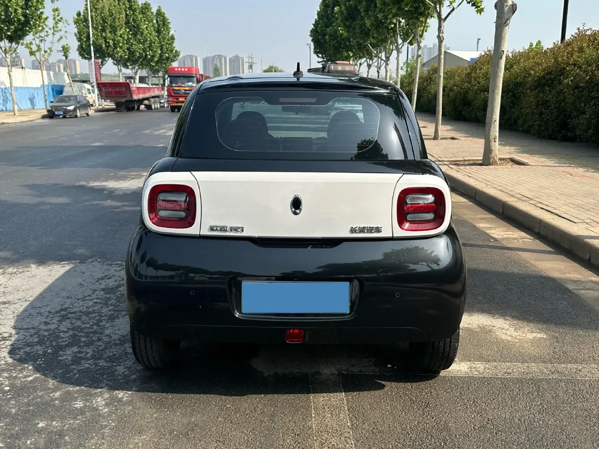 2019 Ora BlackCat BEV 28.5KWH,autocango,china used car exporter,china ev exporter,chinese used car exporter,chinese used ev exporter