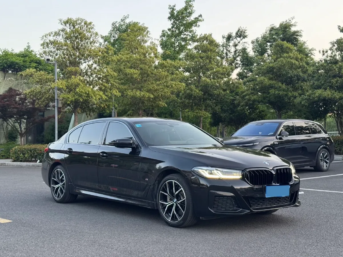 2021 BMW 5 Series 2.0T 252HP L4 8AT,autocango,china used car exporter,china ev exporter,chinese used car exporter,chinese used ev exporter