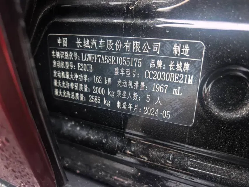 2024 Tank 300 2.0T 227HP L4 8AT,autocango,china used car exporter,china ev exporter,chinese used car exporter,chinese used ev exporter