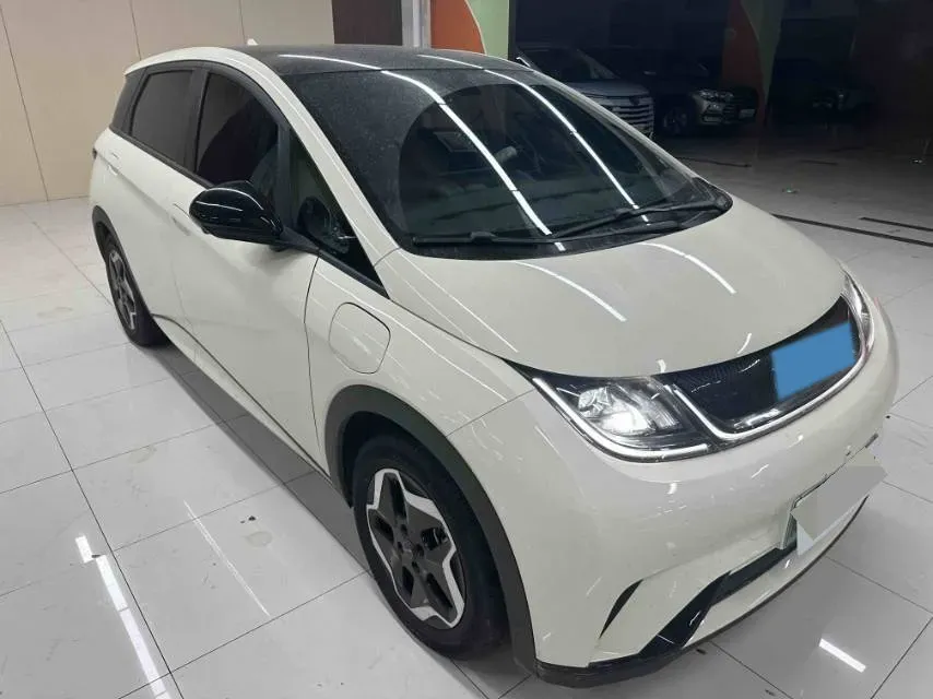 2021 BYD Yuan Pro BEV 50.1KWH,autocango,china used car exporter,china ev exporter,chinese used car exporter,chinese used ev exporter