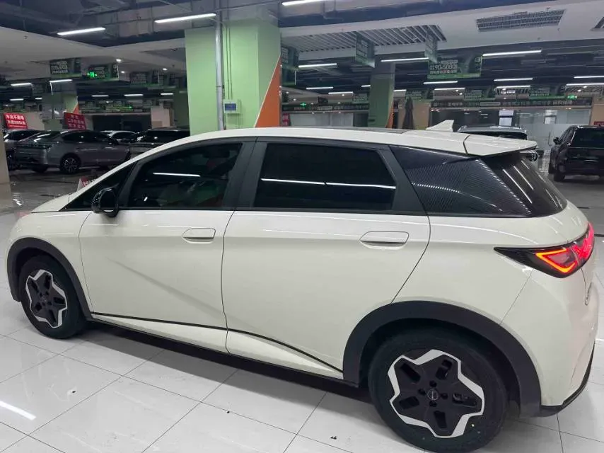 2021 BYD Yuan Pro BEV 50.1KWH,autocango,china used car exporter,china ev exporter,chinese used car exporter,chinese used ev exporter