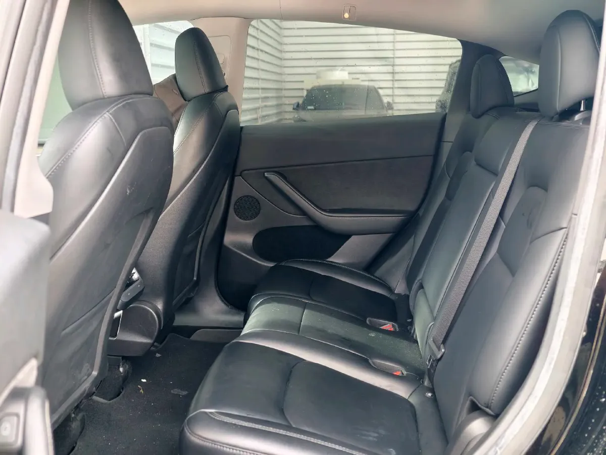 2020 Tesla Model 3 BEV 52KWH,autocango,china used car exporter,china ev exporter,chinese used car exporter,chinese used ev exporter