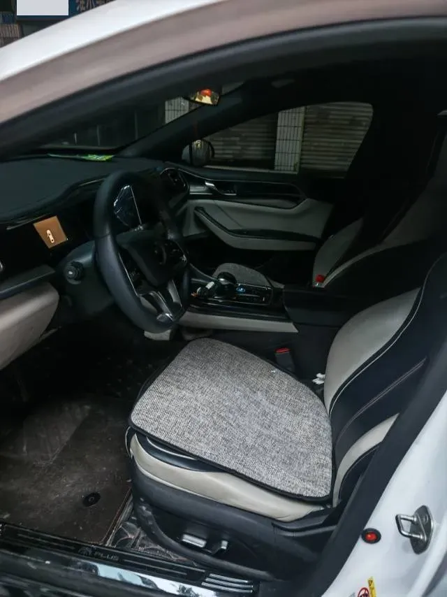 2021 DongFeng FuKang e Elysee BEV 30.7KWH,autocango,china used car exporter,china ev exporter,chinese used car exporter,chinese used ev exporter