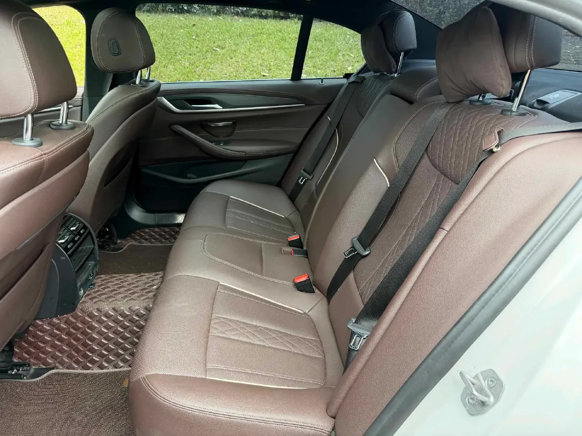 2021 BMW 5 Series 2.0T 252HP L4 8AT,autocango,china used car exporter,china ev exporter,chinese used car exporter,chinese used ev exporter