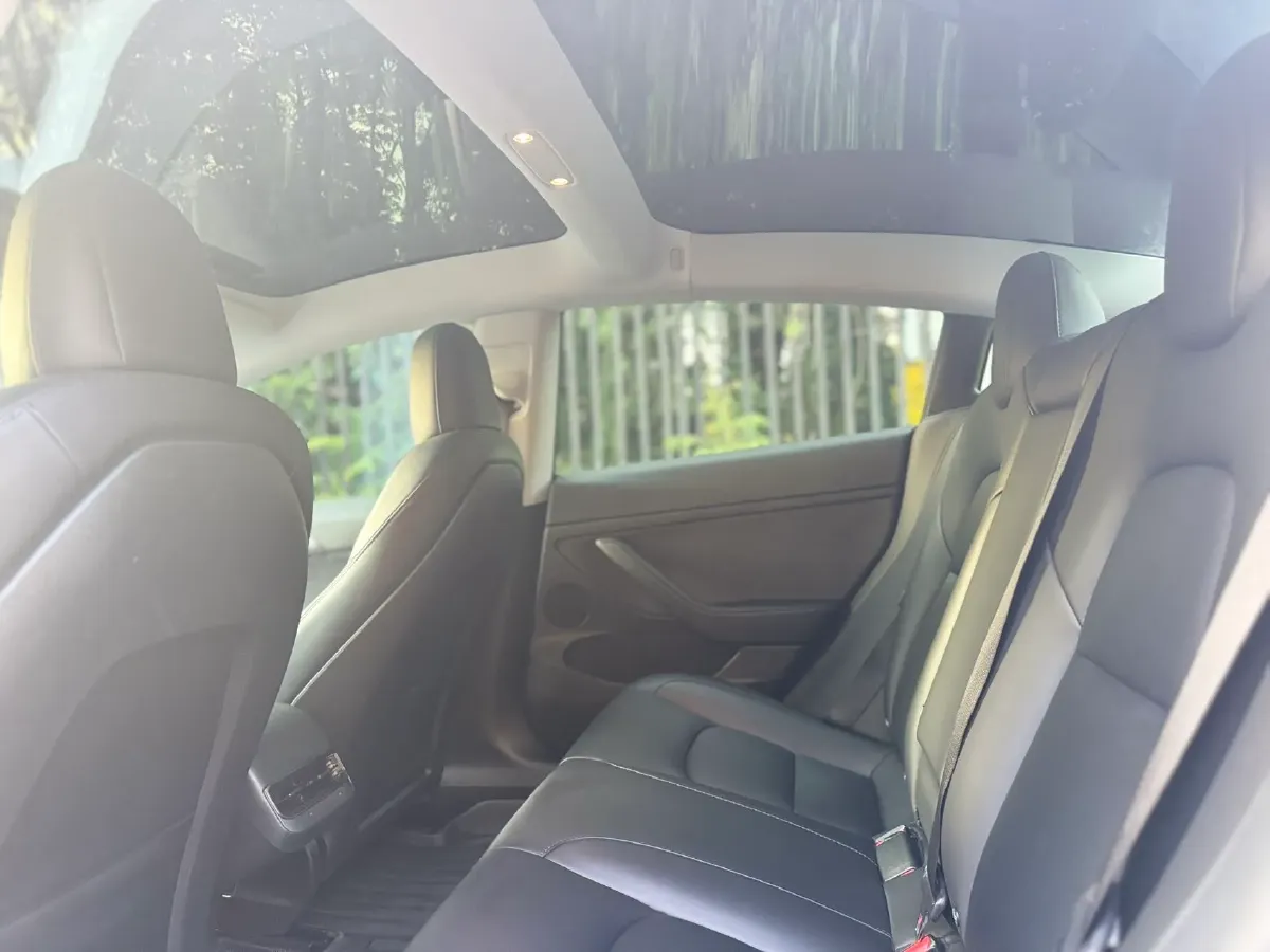 2022 Tesla Model 3 BEV 60KWH,autocango,china used car exporter,china ev exporter,chinese used car exporter,chinese used ev exporter