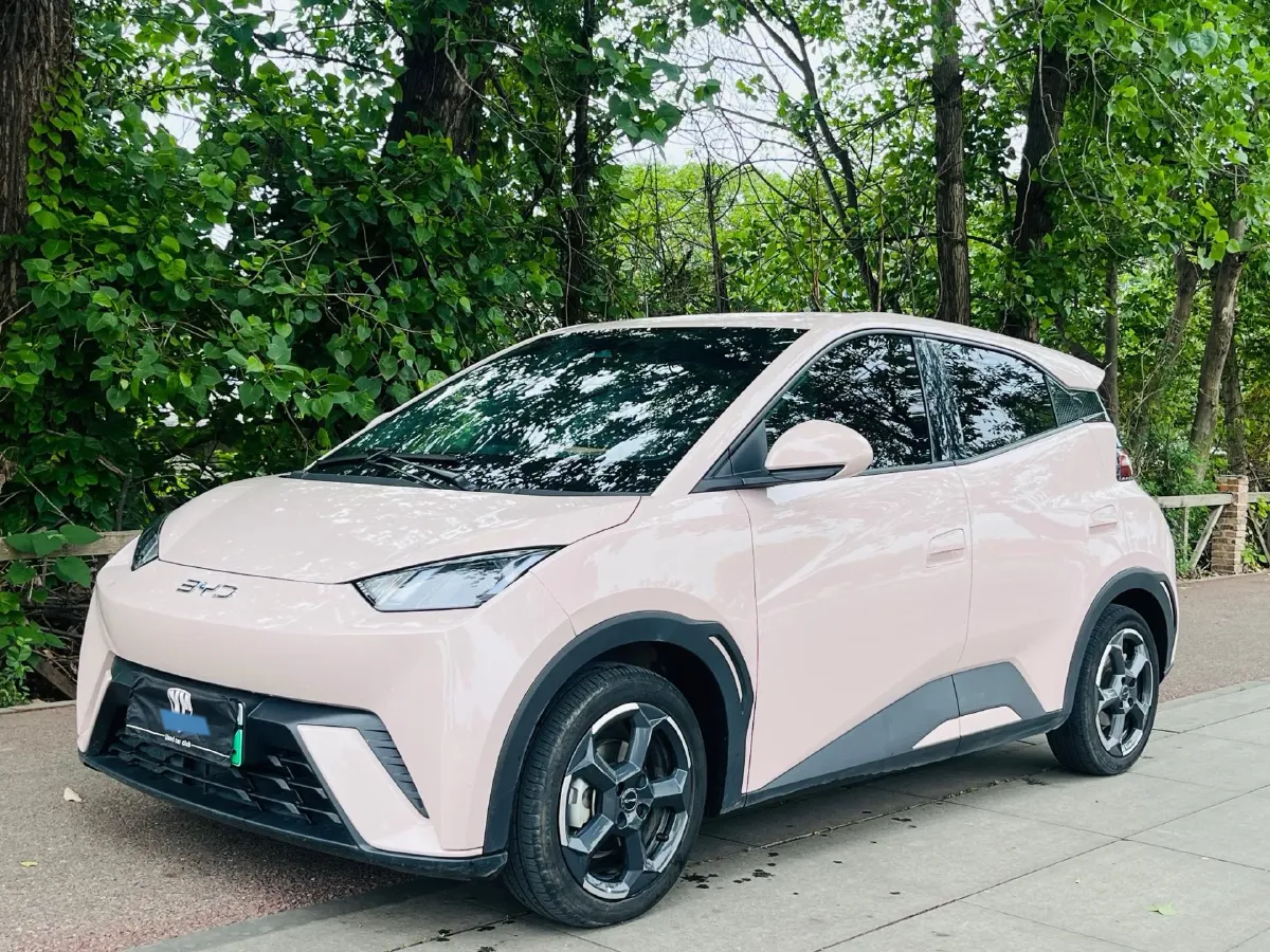 2023 BYD Seagull BEV 38.88KWH,autocango,china used car exporter,china ev exporter,chinese used car exporter,chinese used ev exporter