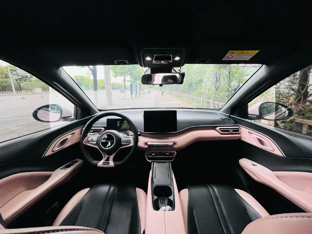 2023 BYD Seagull BEV 38.88KWH,autocango,china used car exporter,china ev exporter,chinese used car exporter,chinese used ev exporter
