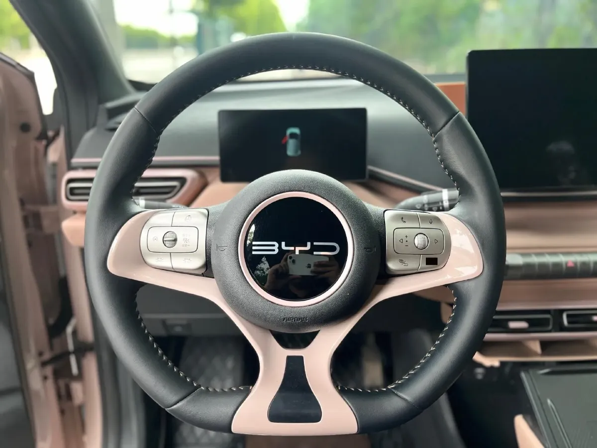 2023 BYD Seagull BEV 38.88KWH,autocango,china used car exporter,china ev exporter,chinese used car exporter,chinese used ev exporter
