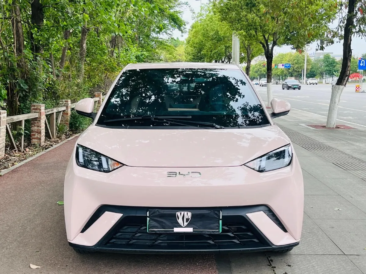 2023 BYD Seagull BEV 38.88KWH,autocango,china used car exporter,china ev exporter,chinese used car exporter,chinese used ev exporter