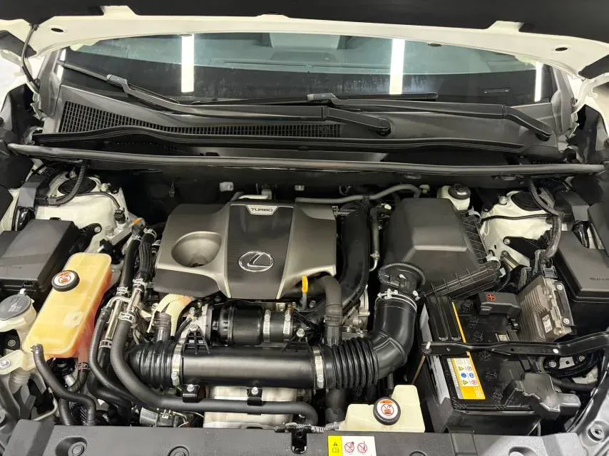 2018 Lexus NX 2.0T 238HP L4 6AT,autocango,china used car exporter,china ev exporter,chinese used car exporter,chinese used ev exporter