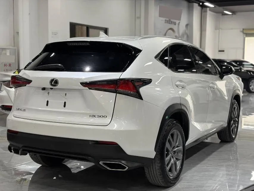 2018 Lexus NX 2.0T 238HP L4 6AT,autocango,china used car exporter,china ev exporter,chinese used car exporter,chinese used ev exporter