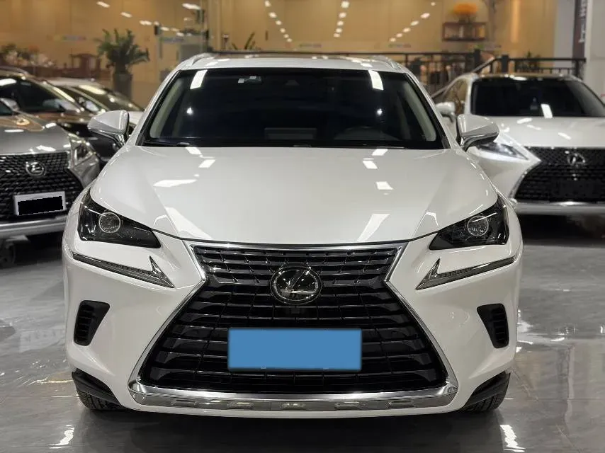 2018 Lexus NX 2.0T 238HP L4 6AT,autocango,china used car exporter,china ev exporter,chinese used car exporter,chinese used ev exporter