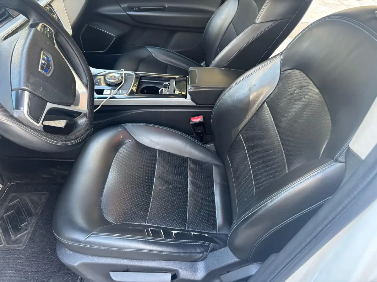 2020 Geely Emgrand GSe BEV 61.9KWH,autocango,china used car exporter,china ev exporter,chinese used car exporter,chinese used ev exporter