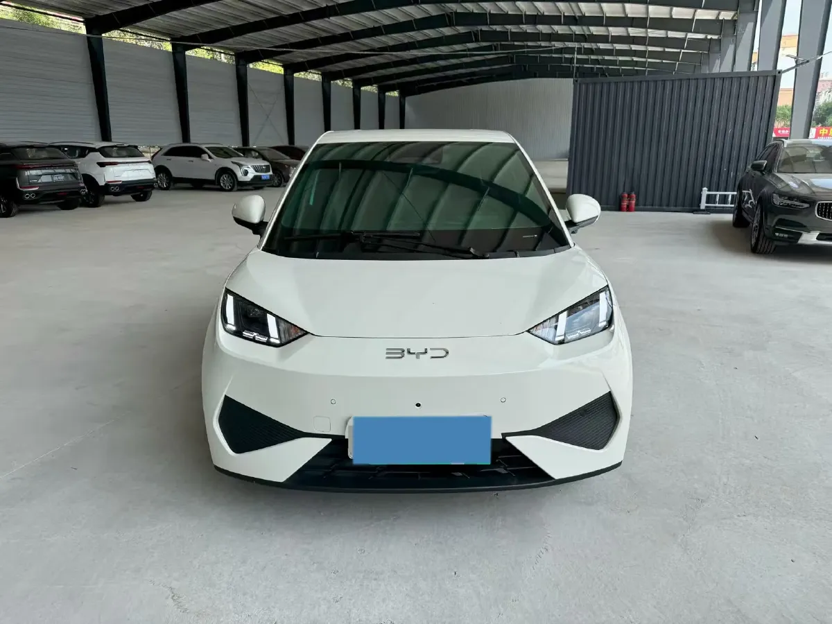 2025 BYD Seagull BEV 30.08KWH,autocango,china used car exporter,china ev exporter,chinese used car exporter,chinese used ev exporter