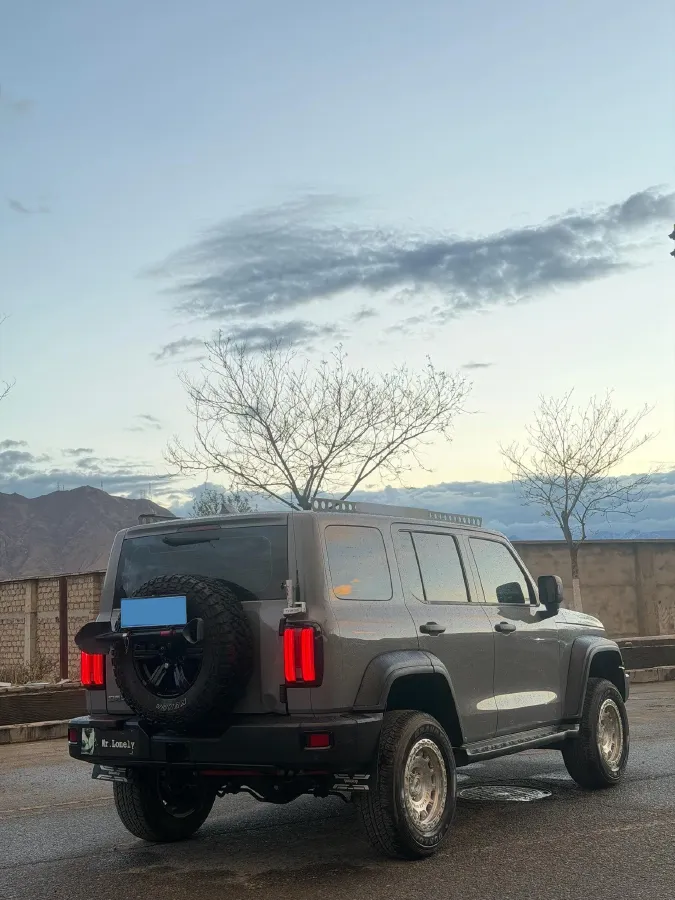 2021 Tank 300 2.0T 227HP L4 8AT,autocango,china used car exporter,china ev exporter,chinese used car exporter,chinese used ev exporter