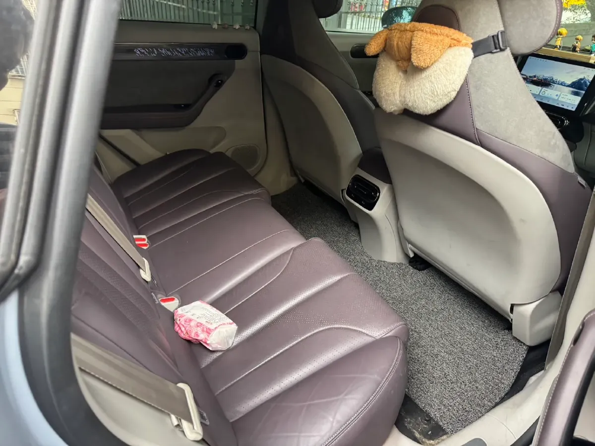2021 Leapmotor C11 BEV 78.54KWH,autocango,china used car exporter,china ev exporter,chinese used car exporter,chinese used ev exporter