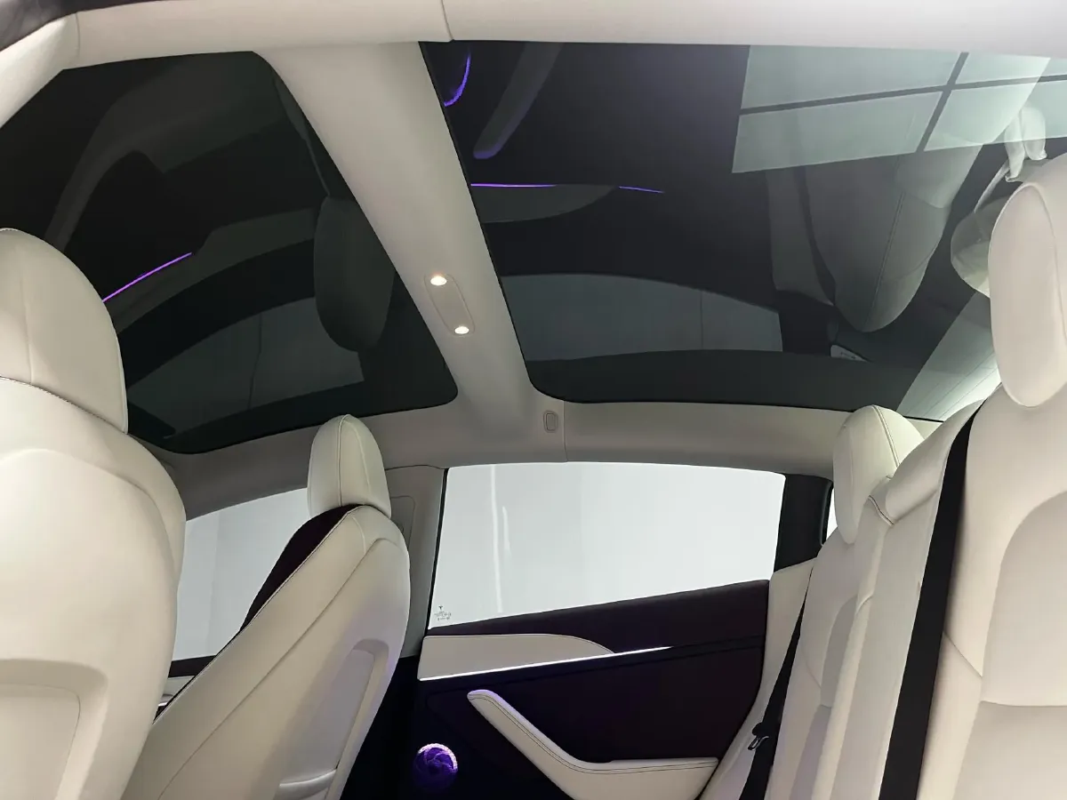 2021 Tesla Model 3 BEV 55KWH,autocango,china used car exporter,china ev exporter,chinese used car exporter,chinese used ev exporter