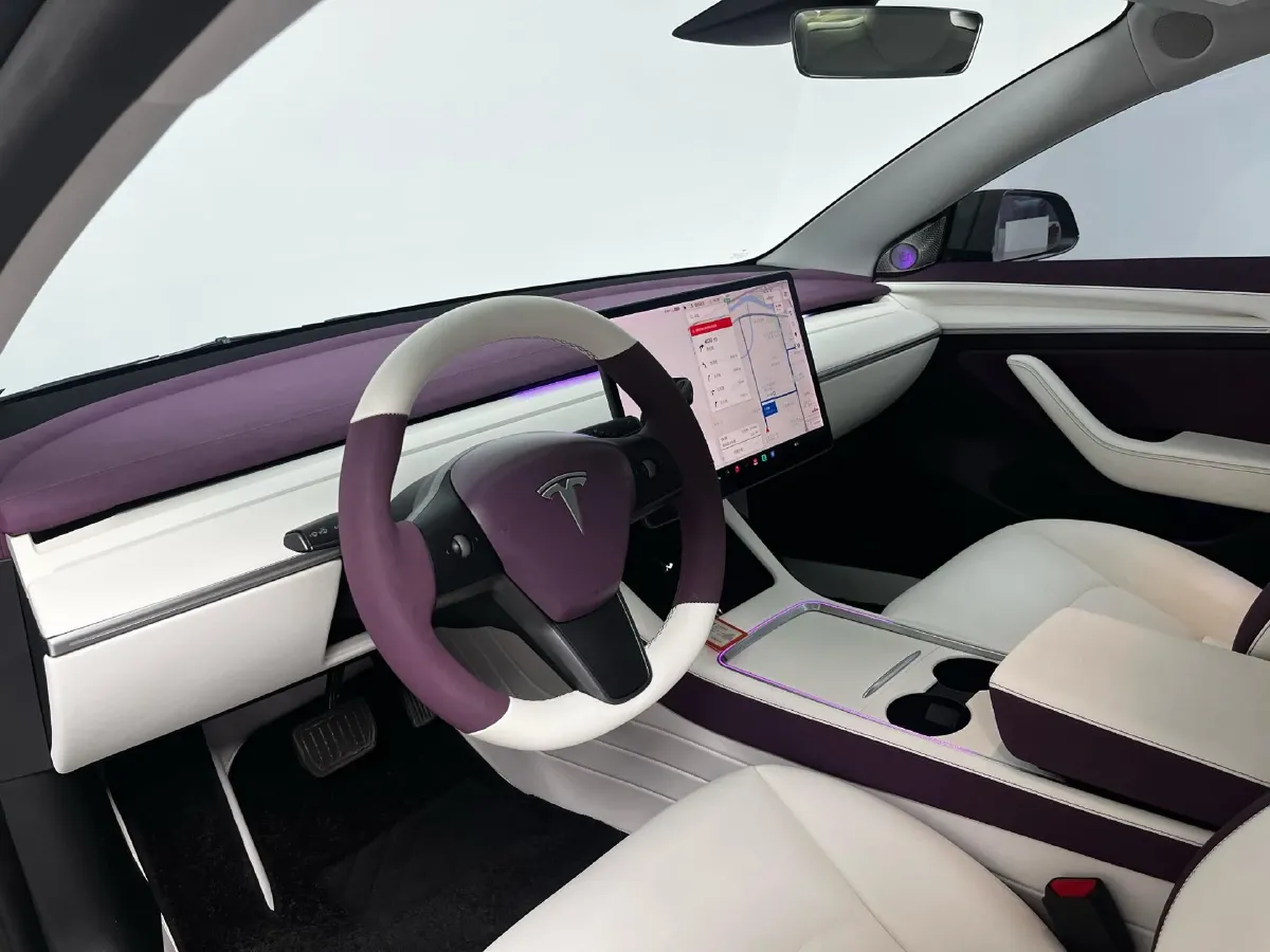 2021 Tesla Model 3 BEV 55KWH,autocango,china used car exporter,china ev exporter,chinese used car exporter,chinese used ev exporter