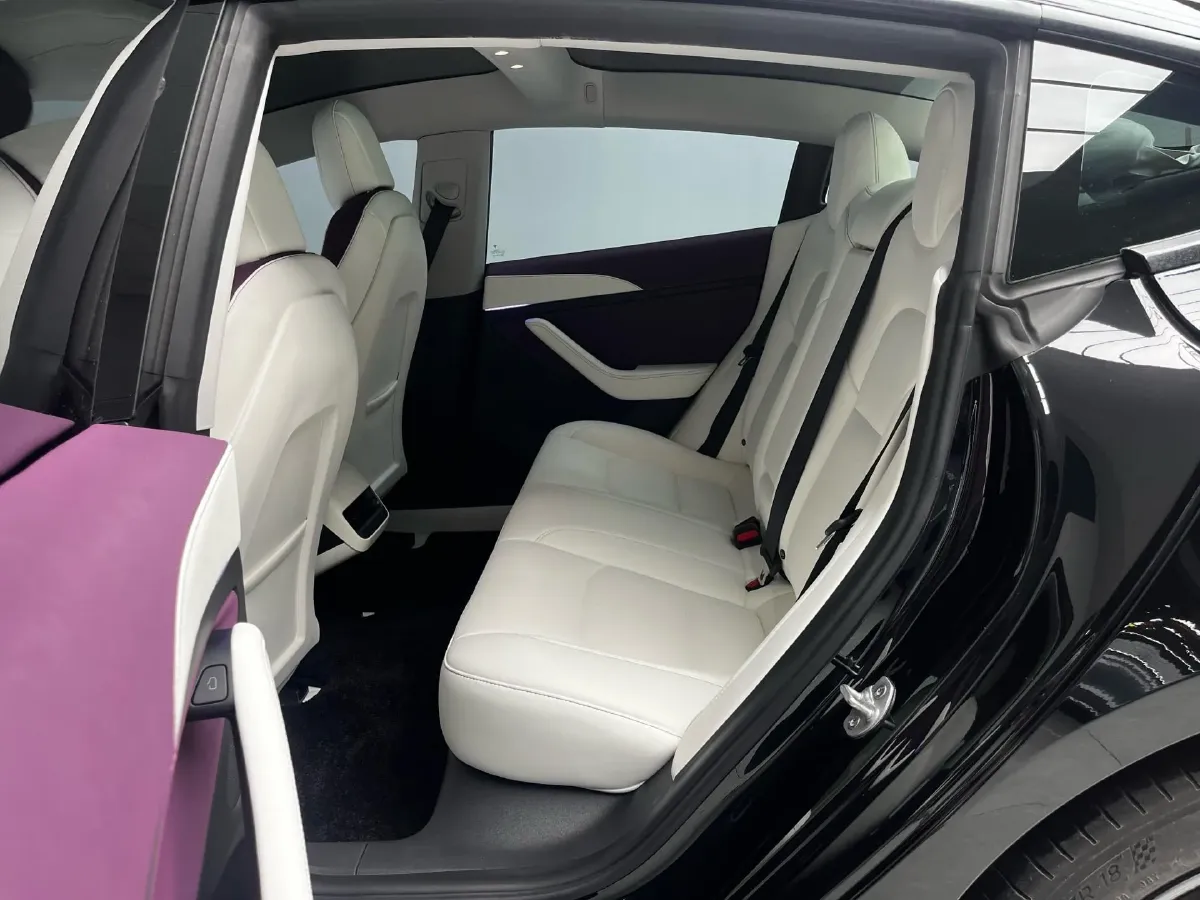 2021 Tesla Model 3 BEV 55KWH,autocango,china used car exporter,china ev exporter,chinese used car exporter,chinese used ev exporter