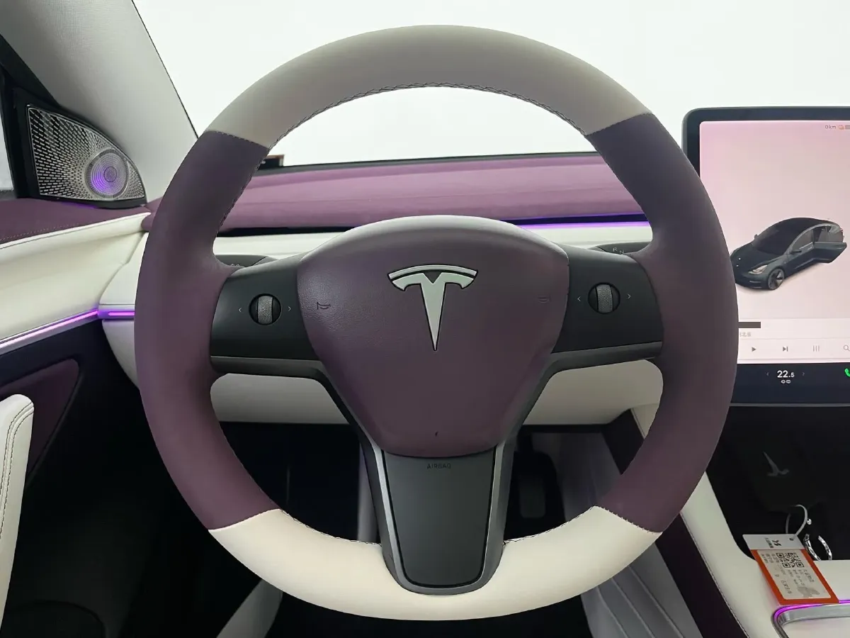 2021 Tesla Model 3 BEV 55KWH,autocango,china used car exporter,china ev exporter,chinese used car exporter,chinese used ev exporter