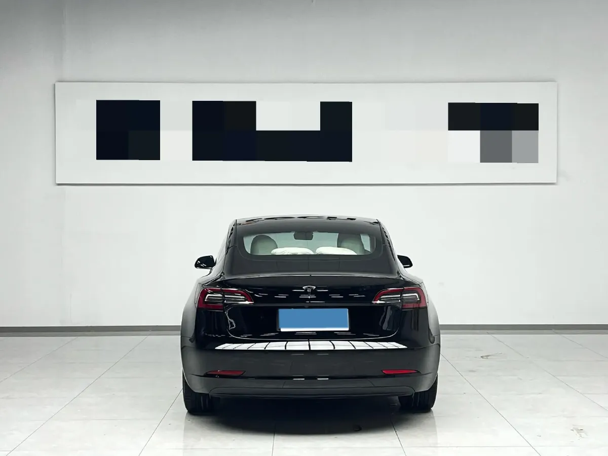 2021 Tesla Model 3 BEV 55KWH,autocango,china used car exporter,china ev exporter,chinese used car exporter,chinese used ev exporter