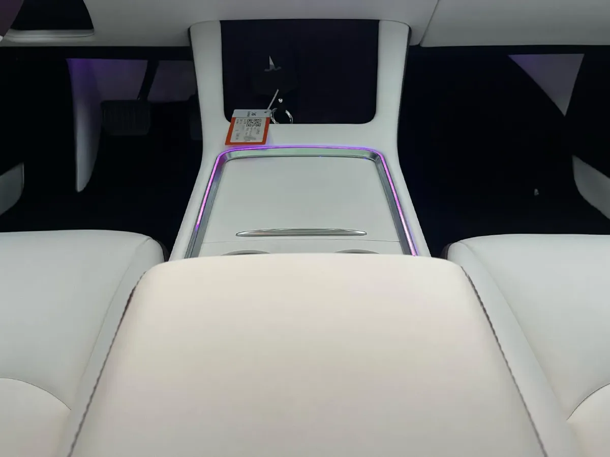 2021 Tesla Model 3 BEV 55KWH,autocango,china used car exporter,china ev exporter,chinese used car exporter,chinese used ev exporter