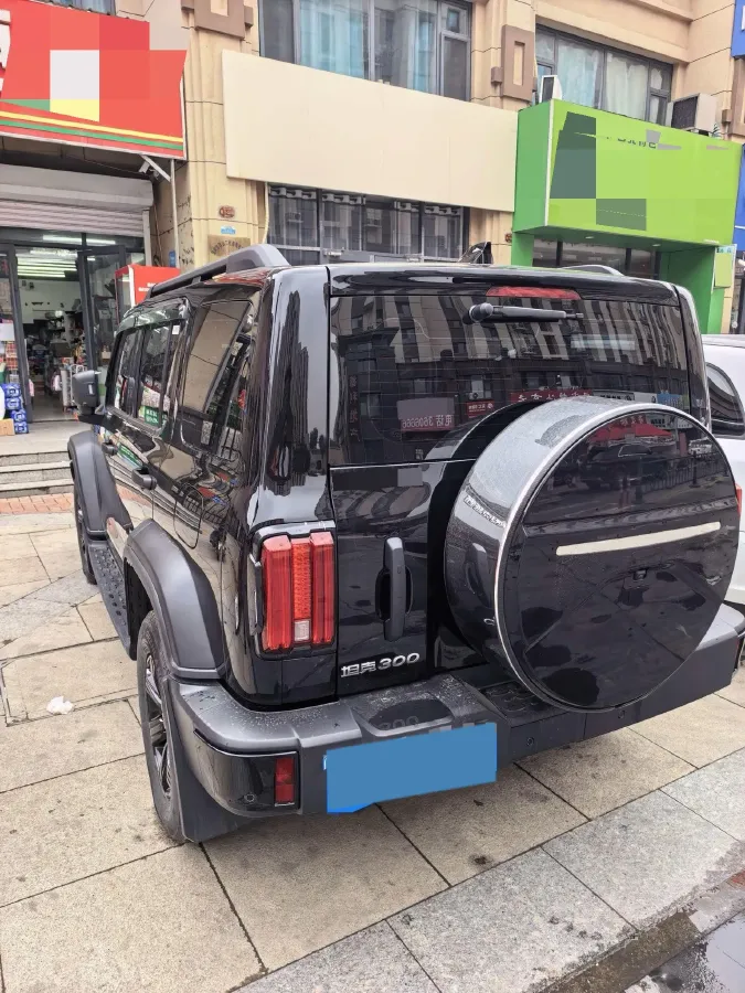 2024 Tank 300 2.0T 227HP L4 8AT,autocango,china used car exporter,china ev exporter,chinese used car exporter,chinese used ev exporter