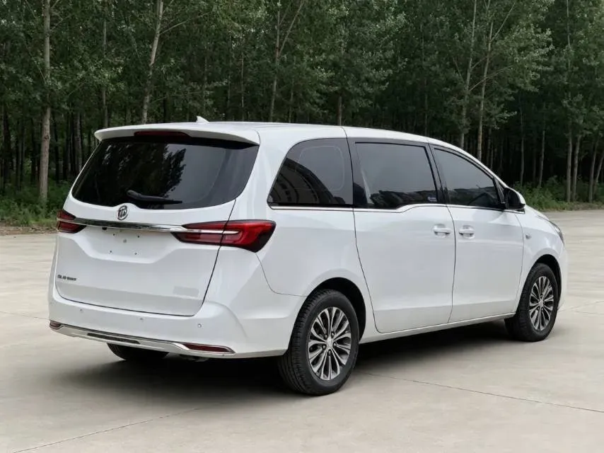 2020 Buick GL8 2.0T 237HP L4 9AT,autocango,china used car exporter,china ev exporter,chinese used car exporter,chinese used ev exporter