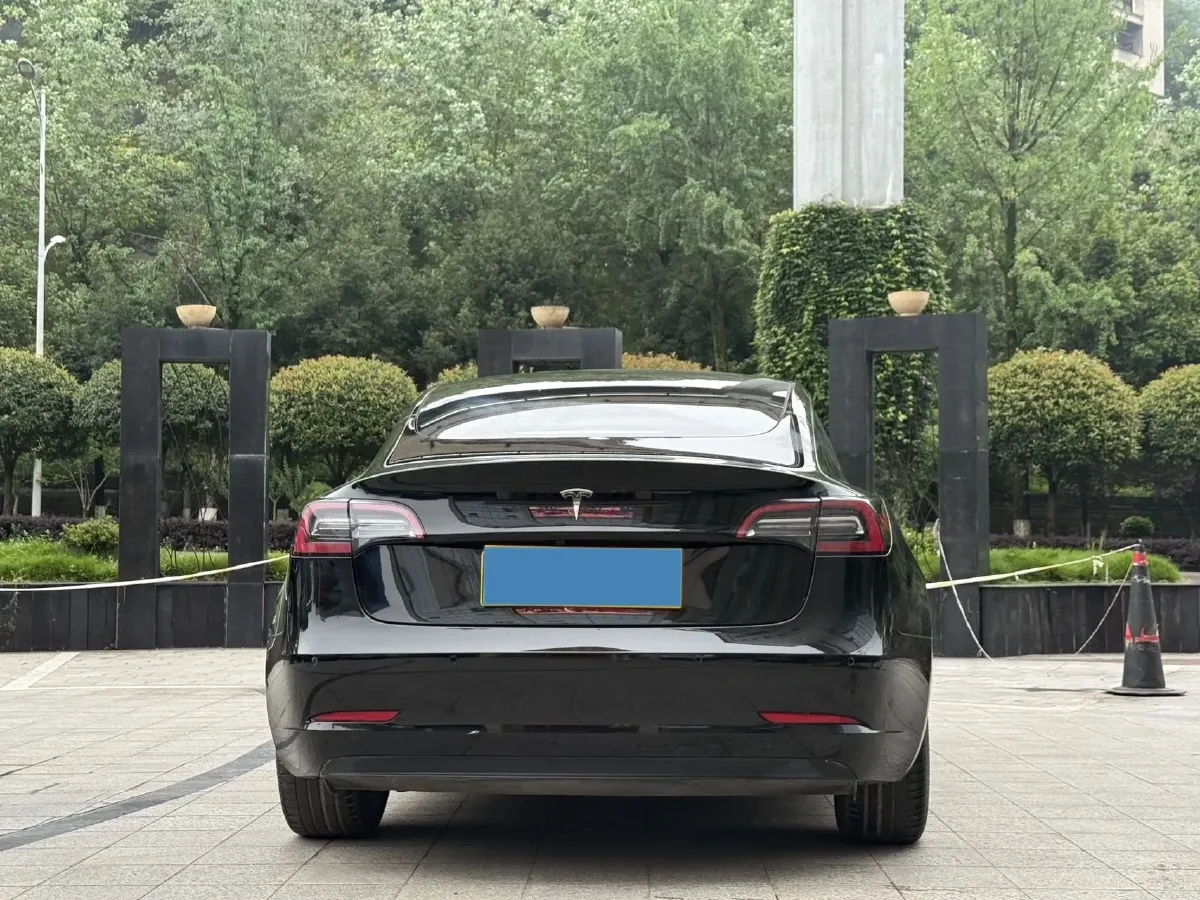 2021 Tesla Model 3 BEV 55KWH,autocango,china used car exporter,china ev exporter,chinese used car exporter,chinese used ev exporter