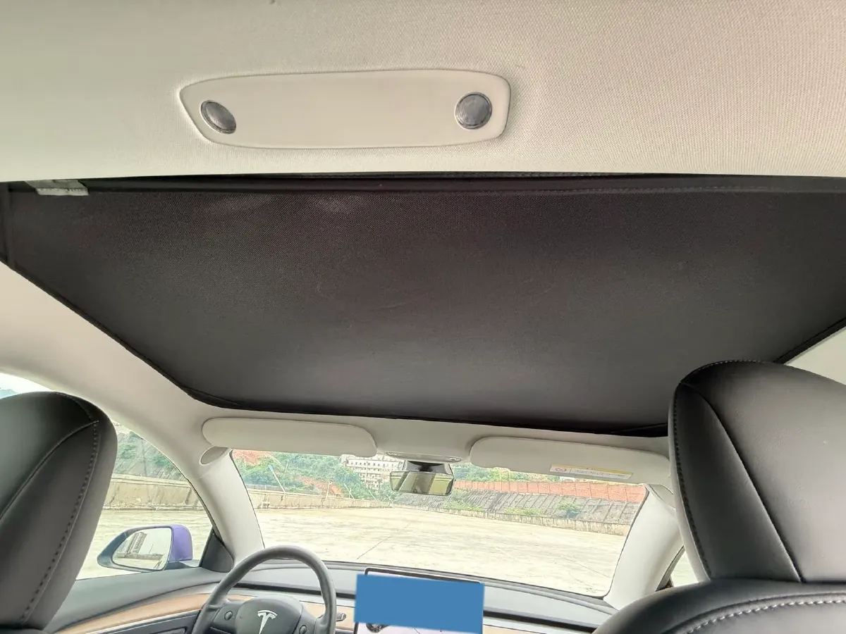 2021 Tesla Model 3 BEV 55KWH,autocango,china used car exporter,china ev exporter,chinese used car exporter,chinese used ev exporter