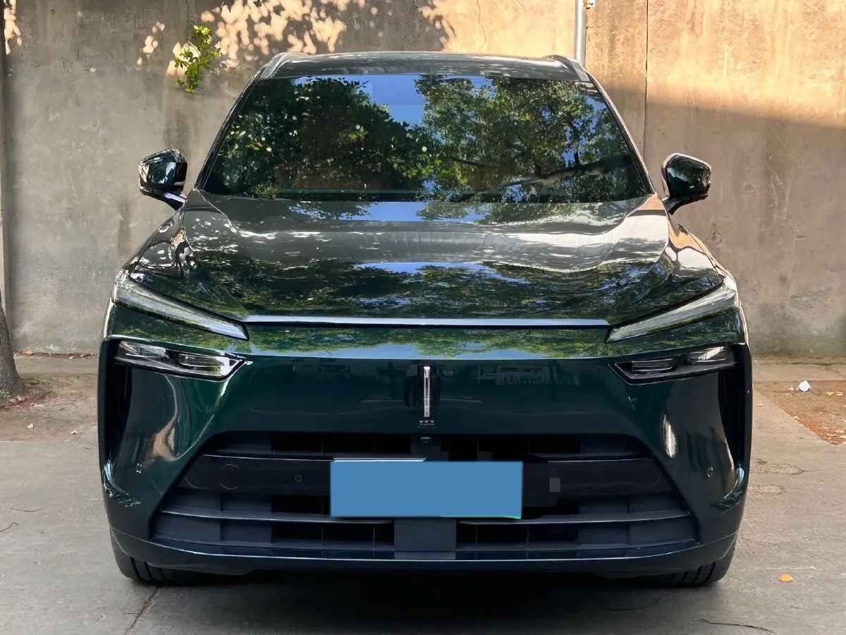 2023 WEY BlueMountain 1.5T 154HP L4 2DHT PHEV 44.5KWH,autocango,china used car exporter,china ev exporter,chinese used car exporter,chinese used ev exporter