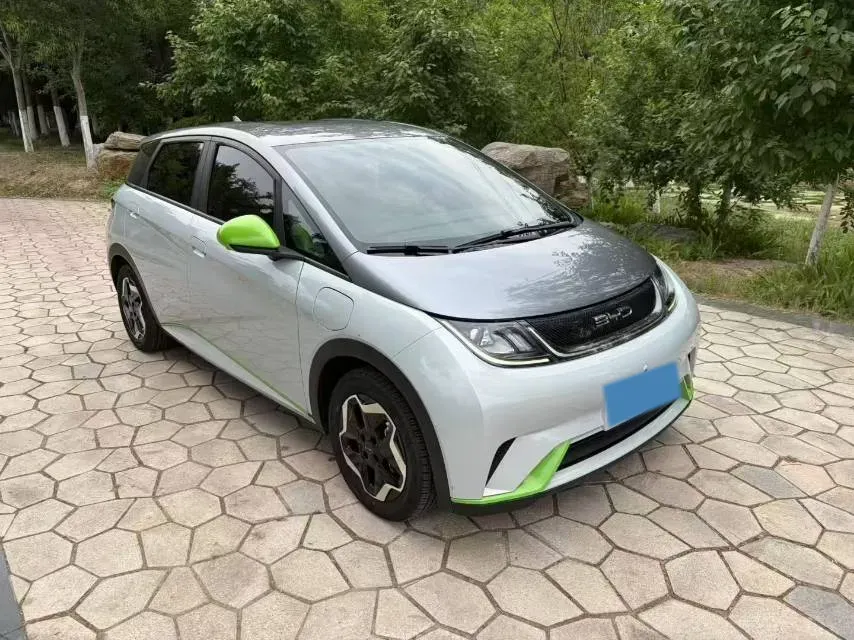 2021 BYD Yuan Pro BEV 50.1KWH,autocango,china used car exporter,china ev exporter,chinese used car exporter,chinese used ev exporter
