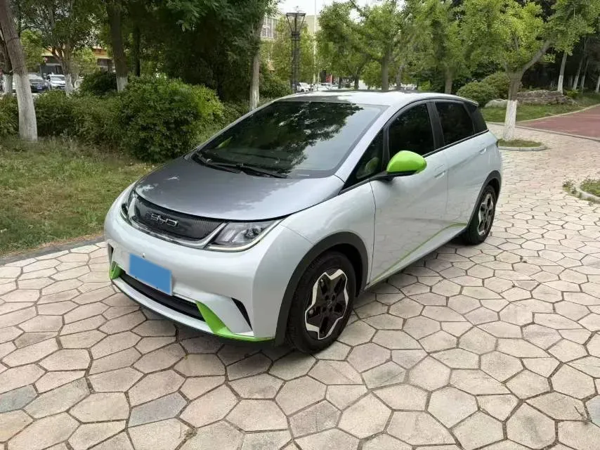 2021 BYD Yuan Pro BEV 50.1KWH,autocango,china used car exporter,china ev exporter,chinese used car exporter,chinese used ev exporter