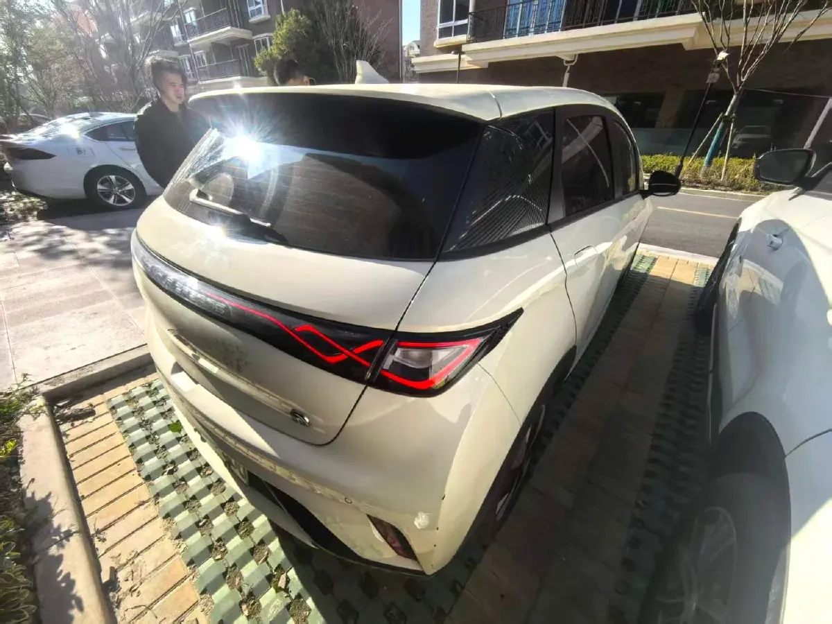 2023 BYD Dolphin BEV 44.928KWH,autocango,china used car exporter,china ev exporter,chinese used car exporter,chinese used ev exporter