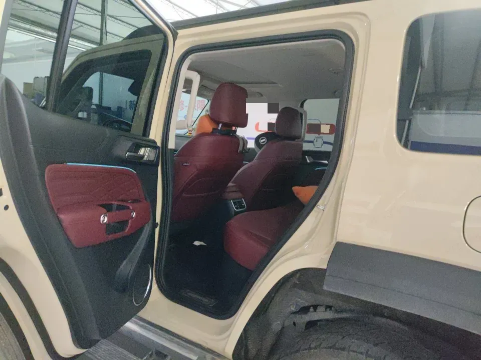 2025 Tank 300 2.0T 252HP L4 9AT PHEV,autocango,china used car exporter,china ev exporter,chinese used car exporter,chinese used ev exporter