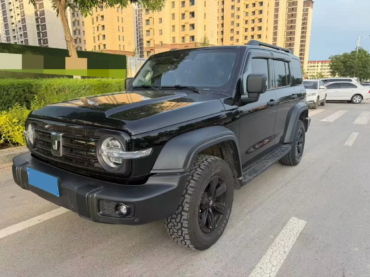 2024 Tank 300 2.0T 227HP L4 8AT,autocango,china used car exporter,china ev exporter,chinese used car exporter,chinese used ev exporter