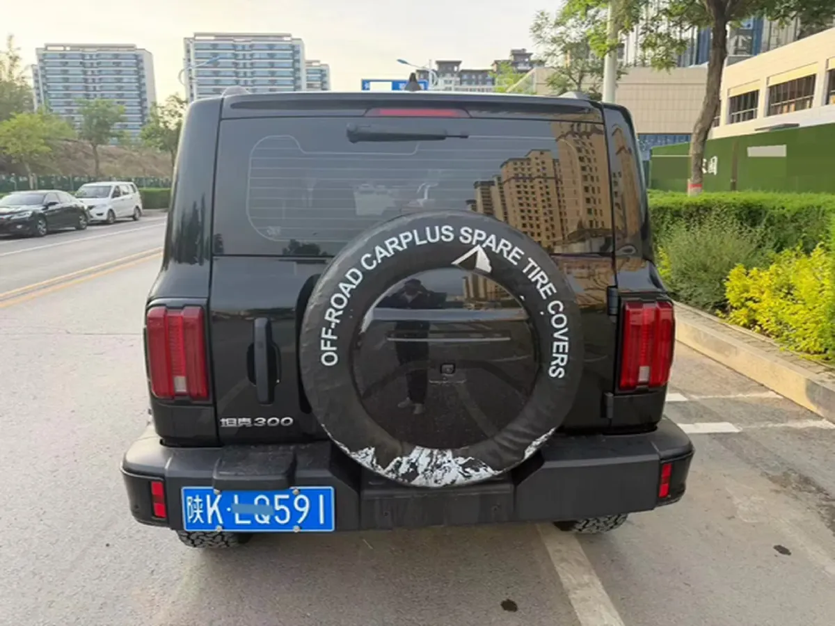 2024 Tank 300 2.0T 227HP L4 8AT,autocango,china used car exporter,china ev exporter,chinese used car exporter,chinese used ev exporter