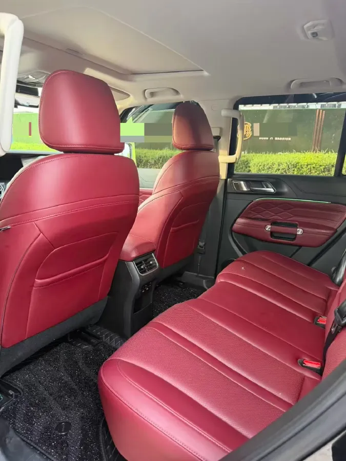 2024 Tank 300 2.0T 227HP L4 8AT,autocango,china used car exporter,china ev exporter,chinese used car exporter,chinese used ev exporter
