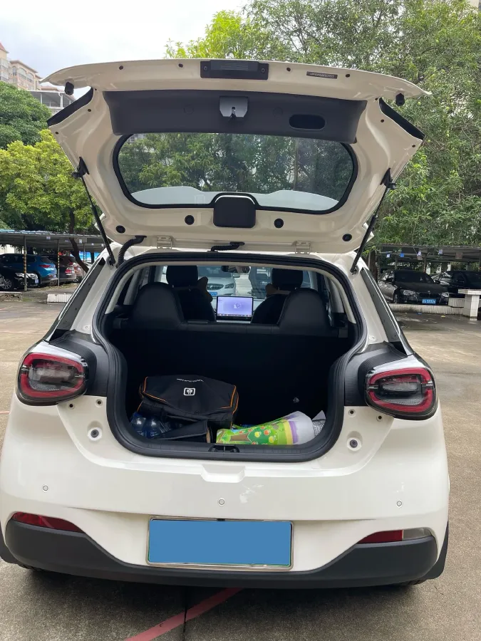 2024 DongFeng eπ 01 BEV 31.45KWH,autocango,china used car exporter,china ev exporter,chinese used car exporter,chinese used ev exporter