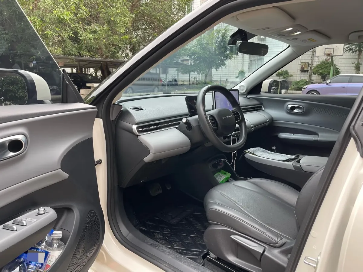 2024 DongFeng eπ 01 BEV 31.45KWH,autocango,china used car exporter,china ev exporter,chinese used car exporter,chinese used ev exporter