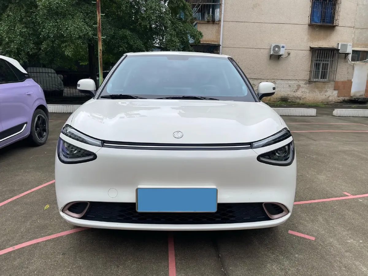 2024 DongFeng eπ 01 BEV 31.45KWH,autocango,china used car exporter,china ev exporter,chinese used car exporter,chinese used ev exporter
