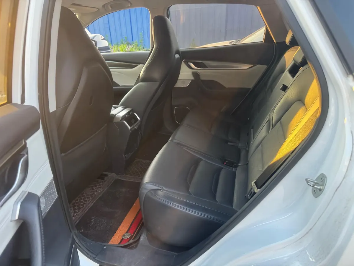 2021 Weltmeister EX5 BEV 52.704KWH,autocango,china used car exporter,china ev exporter,chinese used car exporter,chinese used ev exporter