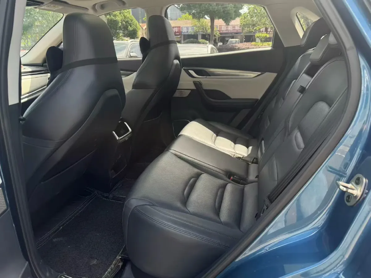 2020 Weltmeister EX5 BEV 52.56KWH,autocango,china used car exporter,china ev exporter,chinese used car exporter,chinese used ev exporter