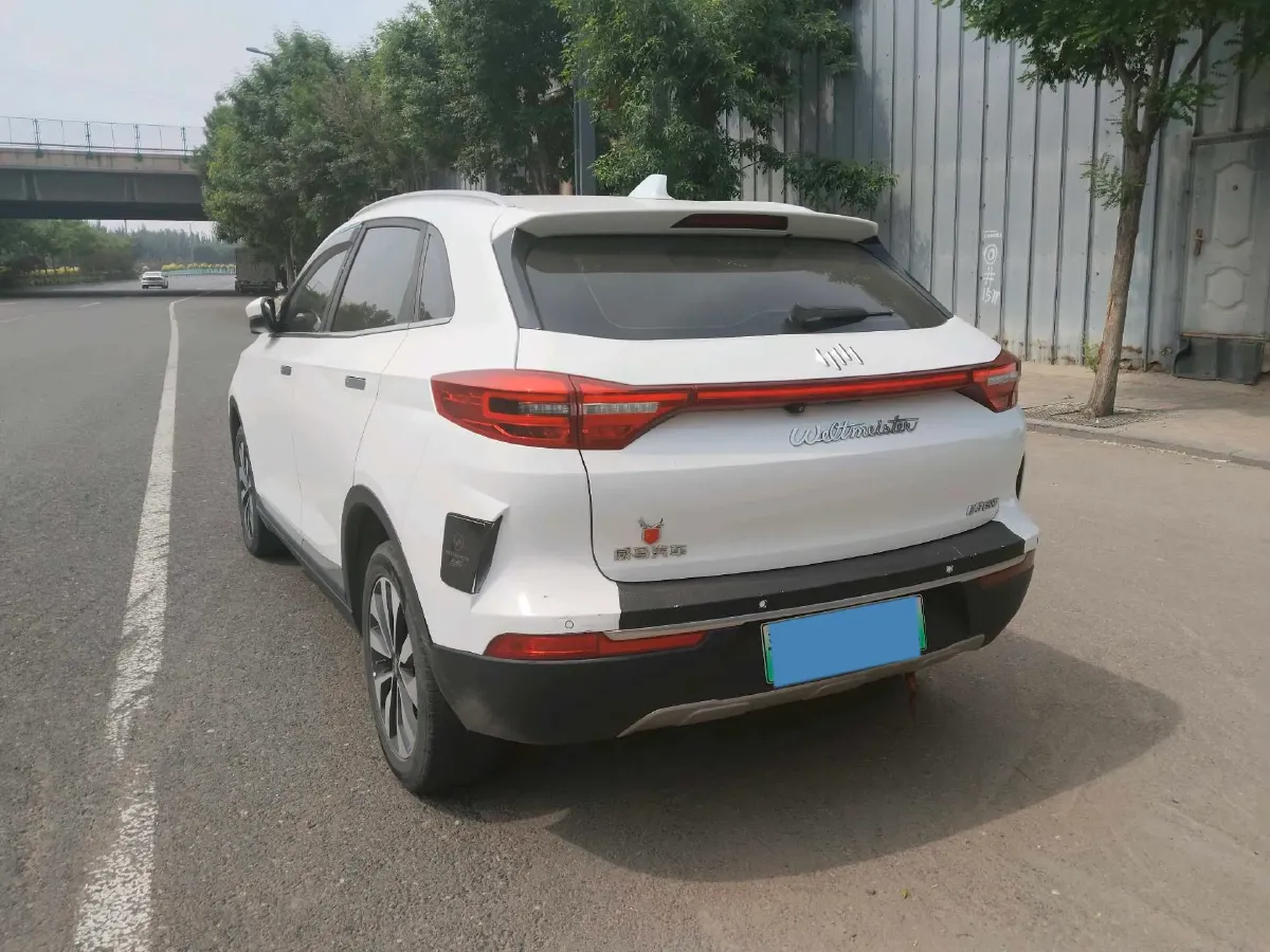 2019 Weltmeister EX5 BEV 69KWH,autocango,china used car exporter,china ev exporter,chinese used car exporter,chinese used ev exporter
