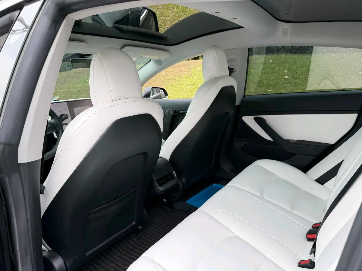 2020 Tesla Model 3 BEV 76.8KWH,autocango,china used car exporter,china ev exporter,chinese used car exporter,chinese used ev exporter