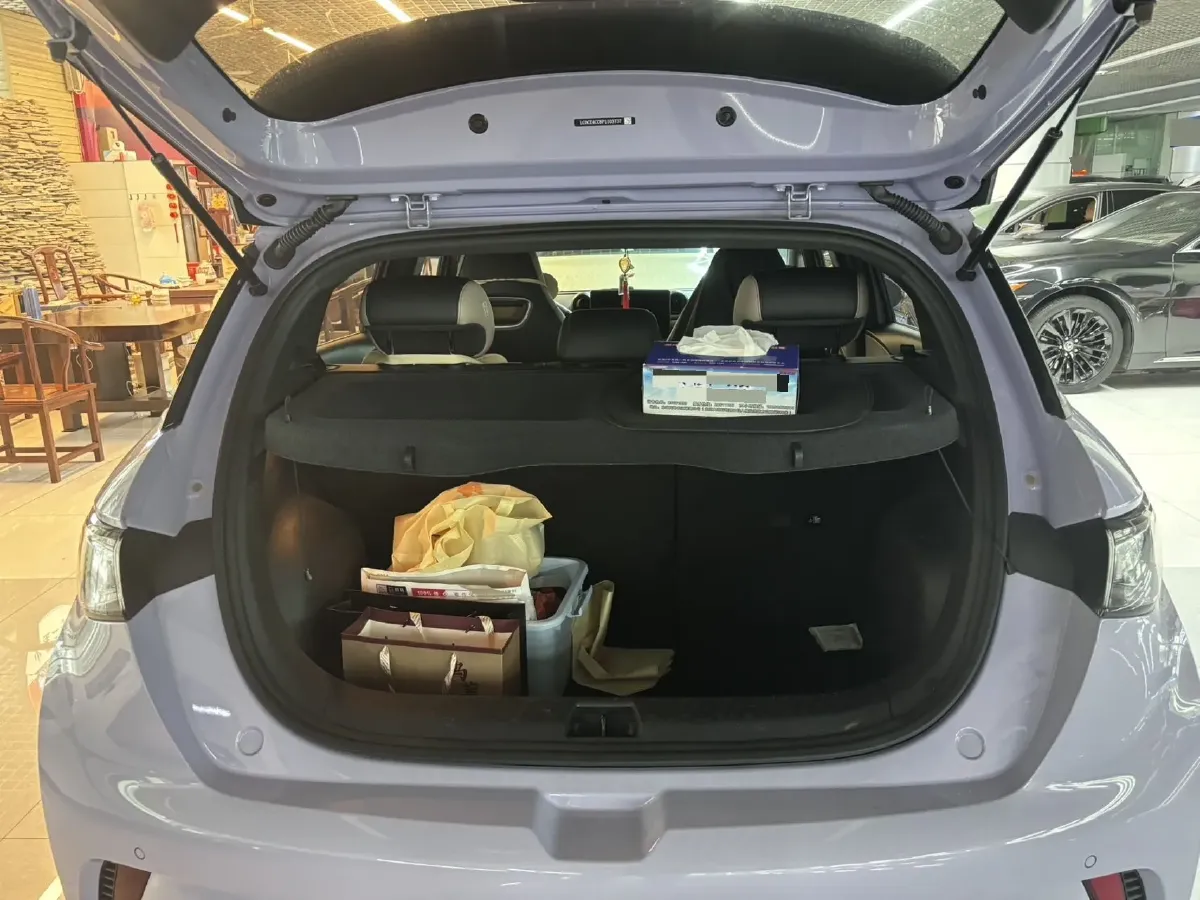 2023 BYD Dolphin BEV 44.928KWH,autocango,china used car exporter,china ev exporter,chinese used car exporter,chinese used ev exporter