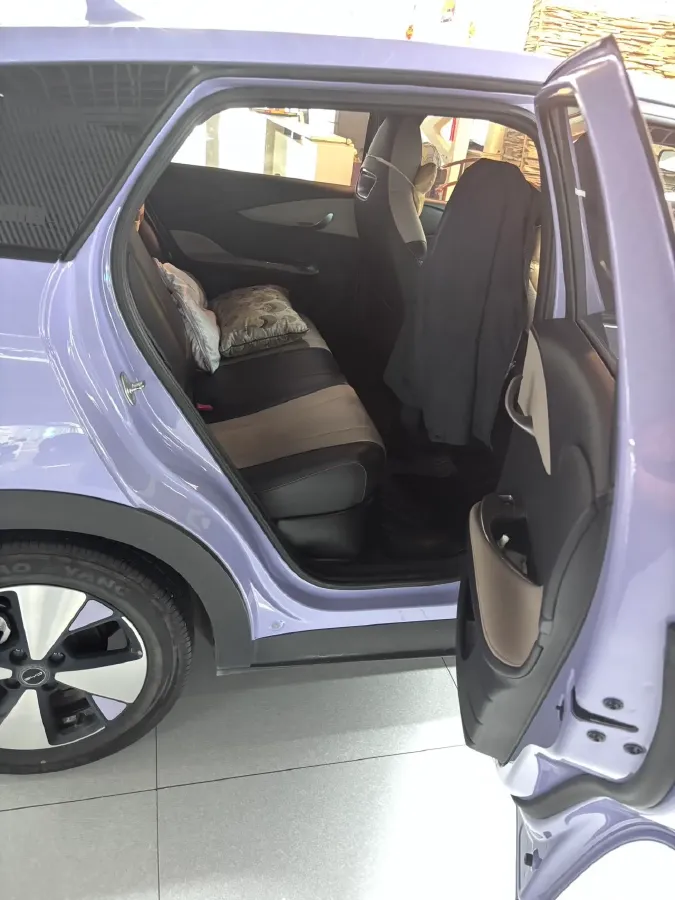 2023 BYD Dolphin BEV 44.928KWH,autocango,china used car exporter,china ev exporter,chinese used car exporter,chinese used ev exporter
