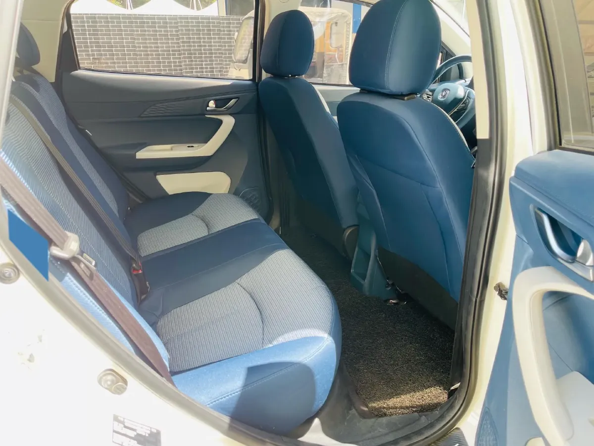 2022 ChangAn BenBen E-Star BEV 31.95KWH,autocango,china used car exporter,china ev exporter,chinese used car exporter,chinese used ev exporter