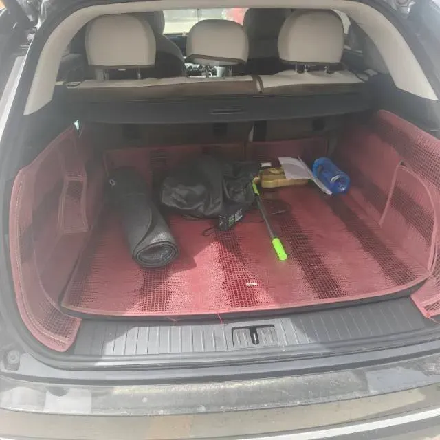 2025 Exceed RX C-DM 1.5T 156HP L4 3DHT PHEV 34.46KWH,autocango,china used car exporter,china ev exporter,chinese used car exporter,chinese used ev exporter